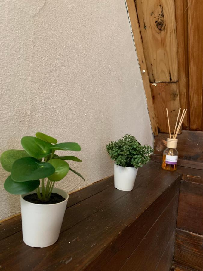 Velencei Vadregenyes Vendeghaz 빌라 외부 사진
